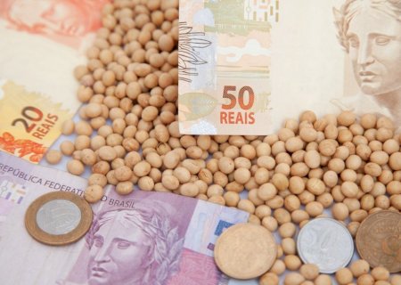 Preços mais altos da soja acompanham elevação de Chicago em dia de poucos negócios