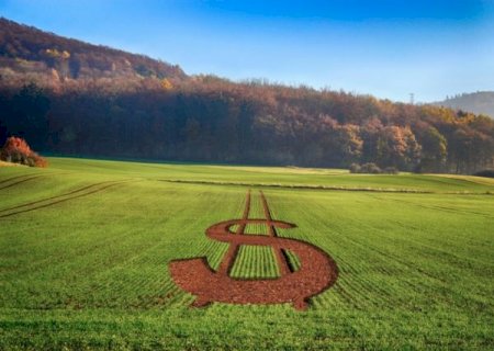 Plano Safra: Agro pede R$ 22 bilhões para subsidiar juros