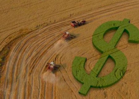 Contratações do crédito rural somam R$ 230 bilhões em dez meses do Plano Safra