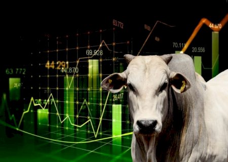 A força do agronegócio na Bolsa Brasileira