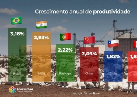 Brasil lidera produtividade agropecuária no mundo