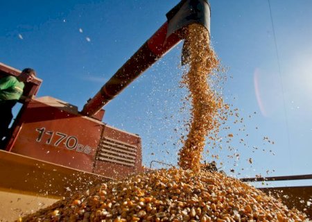 Plano Safra: a uma semana do novo ano agrícola, atraso preocupa produtores