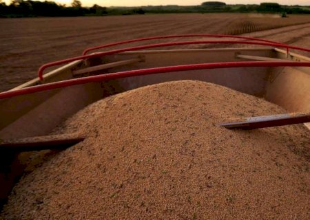 Estimativa para safra 2021/22 indica produção recorde de 271,28 mi de t