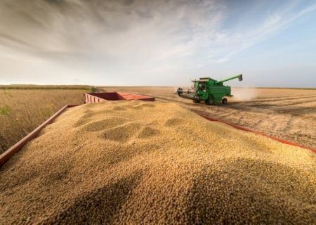 Agropecuária recuou 0,9% no PIB do primeiro trimestre deste ano