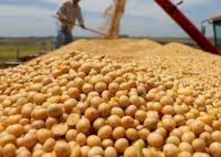 China compra menos soja do Brasil e mais dos Estados Unidos em maio