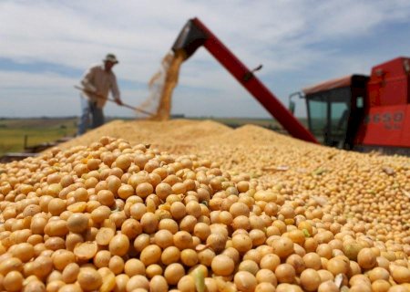 ‘Plano Safra com taxa de dois dígitos pode levar a crise forte no agro em 2022’