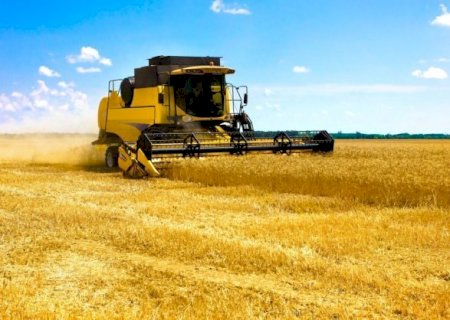 China descobre como aumentar em 50% a produção por hectare