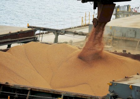 Brasil deve exportar maior volume de soja da história em 2023