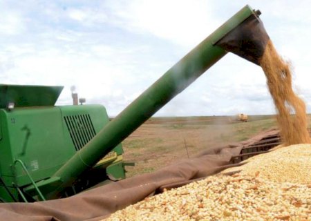 Commodities: Daoud comenta oscilações nos preços e projeta 2º semestre de 2022