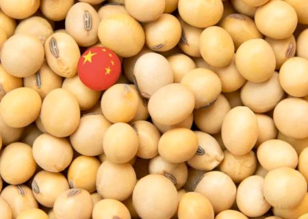 Já viu? China reclama da qualidade da soja brasileira