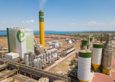 Setor de base florestal movimenta mercado de trabalho em MS