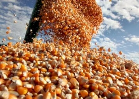 Mercado de grãos, qual seria o norte a ser seguido?