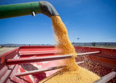 Milho: com 2ª safra e produção de etanol, Brasil dá exemplo de sustentabilidade