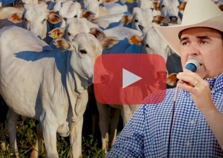 “Agro não é fascista', leiloeiro exalta agropecuária brasileira