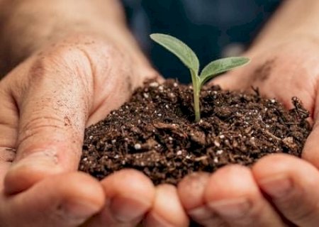 Mercado de fertilizantes defende plano para garantir soberania e segurança alimentar
