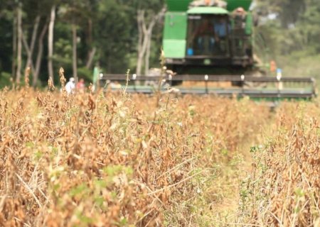 7 em cada 10 pessoas veem o agronegócio de modo positiva