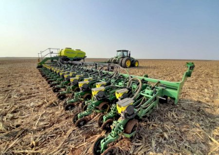 Soja: plantio supera média histórica em Mato Grosso