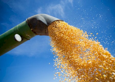Exportações ditam ritmo do mercado de milho no Brasil