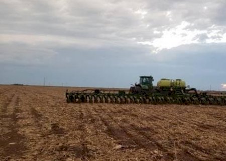 Safra de soja pode ficar abaixo de 150 milhões de toneladas por La Niña | Brasilagro