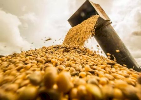 Safra de grãos será a maior já registrada na história do Brasil