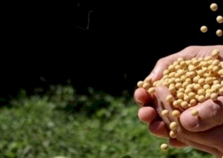 Importações de soja pela China caem para menor nível em oito anos