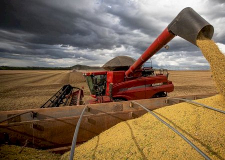IBGE prevê safra recorde para o próximo ano