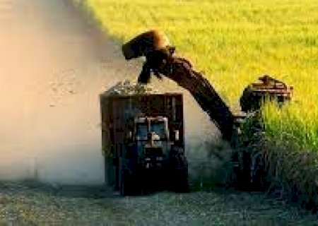 Alavancagem da indústria de cana do Centro-Sul é a menor em 9 anos | Brasilagro