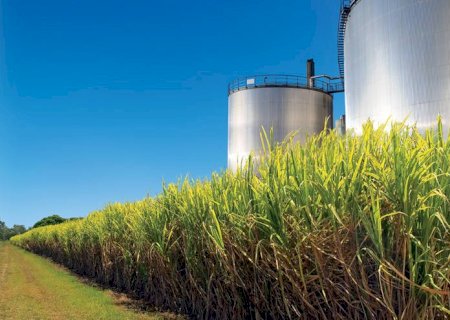Biocombustíveis e alimentos influenciam produção industrial em Mato Grosso