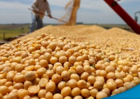 Caramuru Alimentos lança o Selo e a Certificação “Padrão Sustentar'