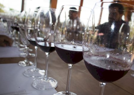 Agricultura de precisão ganha vez na produção de vinhos de inverno