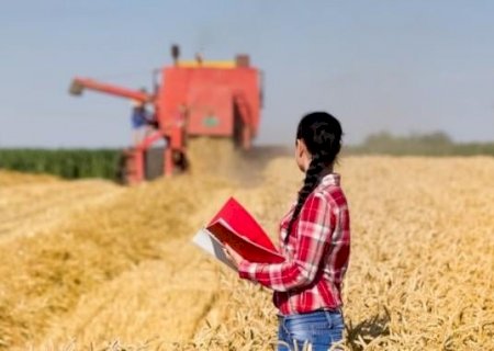 Agronegócio deve ter maior crescimento desde 2017