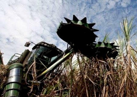 Cana: Moagem acumulada no Centro-Sul sobe 3,73% para 542,09 mi/t  | Brasilagro