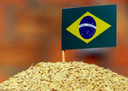 Importância do Brasil na alimentação mundial é tema na Abertura da Colheita do Arroz