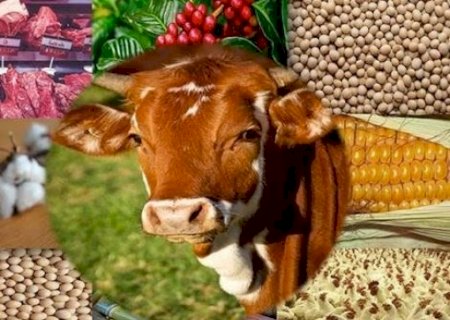 Preços externos continuam favoráveis à exportação | Brasilagro