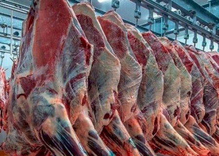 Em 2022, brasileiro teve menor consumo de carne bovina desde 2004