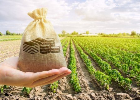 Liberação do crédito rural alcança R$ 267 bilhões em nove meses