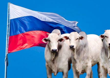 Rússia anuncia fim do embargo à carne bovina brasileira