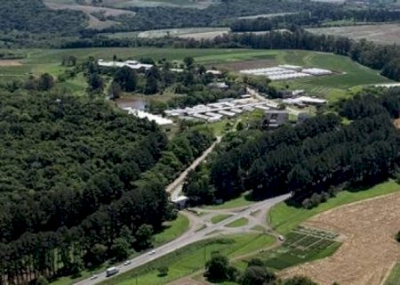 Como o Brasil revolucionou o cultivo do trigo apostando na ciência agrária