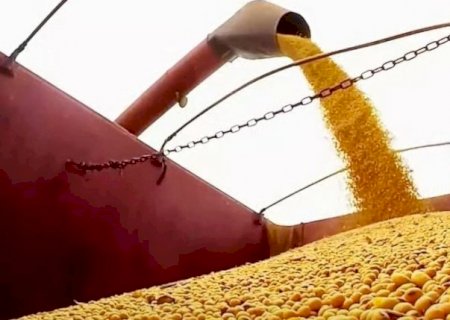 Apetite chinês por soja de Mato Grosso recua 5,51% em 2023
