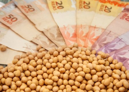 Preços da soja têm queda forte no Brasil na véspera do feriado