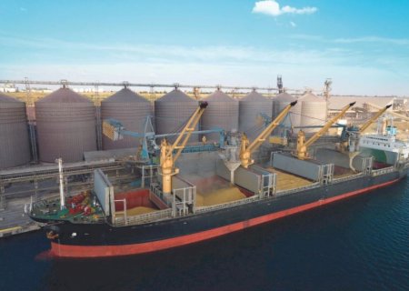 Brasil pode quadruplicar exportações de milho para a China em 2023