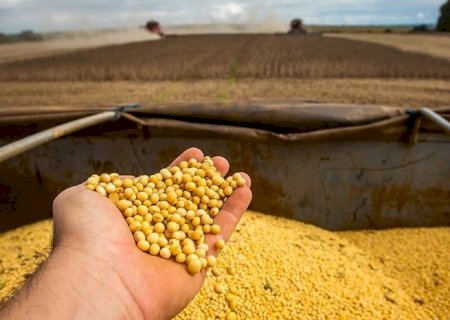 Produção mundial de soja deve ficar em 370,7 milhões de toneladas