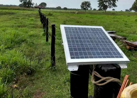 Veja o porquê de todas as fazendas de pecuária adotarem a cerca elétrica rural