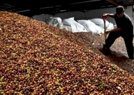 Exportação de café do Brasil cai 19% em março com estoque menor