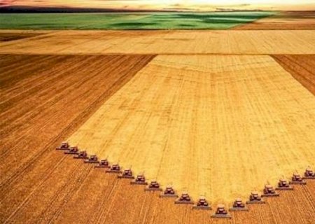 Reforma tributária: agronegócio tem dúvidas sobre a proposta