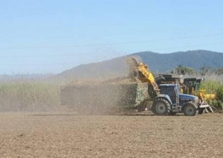 Safra 2023/24: um teste de stress para o setor sucroenergético