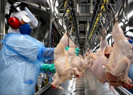 Preço da carne de frango cai em junho e perde competividade