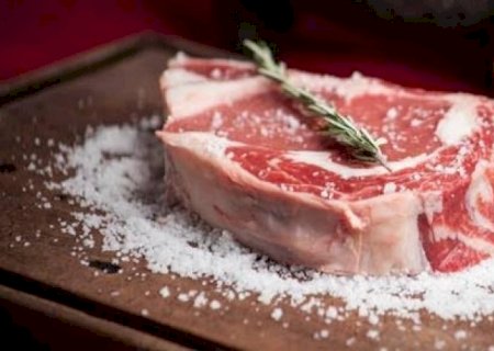 Carne bovina: Volume exportado no 1º sem. de 2023 é o 2º  maior da história