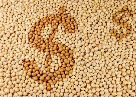 Valor da Produção Agropecuária de 2023 é estimado em R$ 1,148 trilhão