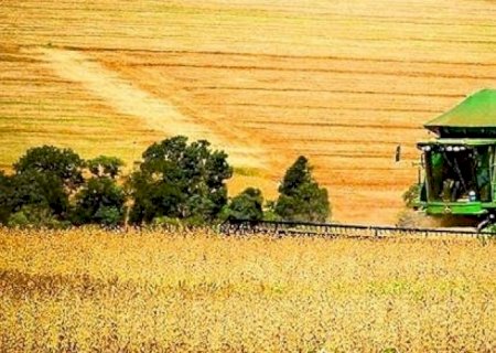 PIB da agropecuária sobe 13,2% neste ano, prevê Ipea